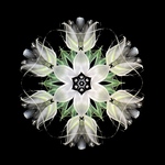 ［完成品］Lily 〜目覚めのとき〜
