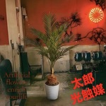 光触媒　人工観葉植物　ウォールグリーン　フェイクグリーン　アレカヤシ94白鉢aj