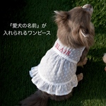 【名入れ刺繍】シースルー　ブラウスワンピース　犬服　前開きワンピース　夏服　涼しい犬服　透け感
