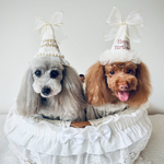 《バースデーパーティーハット》クラウン　王冠　誕生日　1歳　one バースデーハット　ポンポンハット　　ペットクラウン　わんちゃん　犬　うちのこ　わんこ　愛犬　ペットクラウン