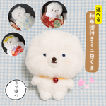🆕選べる和布団付き🌸ミニ白クマ 🐻‍❄️らぶほわ