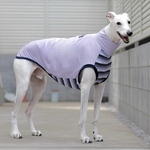 送料無料【ウィペットサイズ】ハイネックTシャツ　グレイッシュパープル　犬服