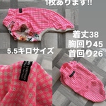 イタグレの服　イタグレ服