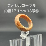 【極美模様】天然石 フォシルコーラル（珊瑚の化石） くりぬきリング 内径17.1mm（13号相当⑤）