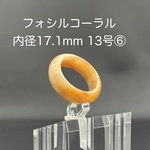 【極美模様】天然石 フォシルコーラル（珊瑚の化石） くりぬきリング 内径17.1mm（13号相当⑥）