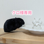 専用ページ クロ様専用