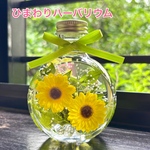 ひまわり🌻ハーバリウム　ネコ瓶 Mサイズ