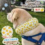 【保冷剤が入る】犬用ネッククーラー❄〈柚子🍋〉 手ぬぐい　クールネック 犬　中型犬・大型犬　 🌞夏のお散歩に