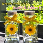 ひまわりハーバリウム　ミニボトル２本組
