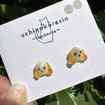🐶わんこ【ピアス・イヤリング】｜本物のお花＊かすみ草＊小ぶりピアス