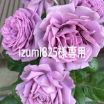 izumi825様専用品