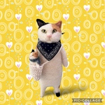 no.452 ポシェットミニ・ミー人形とミケ猫さん