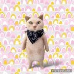 no.454 ポシェットミニ・ミー人形と薄茶猫さん