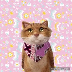 no.455 赤茶猫さんとミニ猫さん