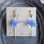 菖蒲の花ピアス/イヤリング