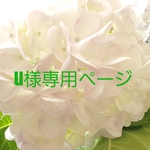 u様専用Classicalgingham バレッタセット