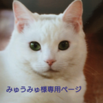 ★みゅうみゅ様専用ページ・猫と月の夜空のチョーカー★