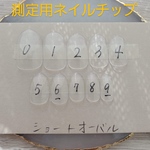 測定用ネイルチップショートオーバル