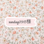 ☆sunday0915様専用☆
