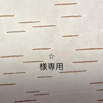 白樺小物