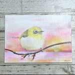 夕焼けとメジロ　【パステル画】　16cm x 22cm