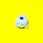 トカゲ（青眼）