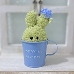 ちびサボテンくぅたん🌵