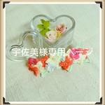宇佐美様専用ページ