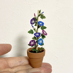 【ミニチュア】朝顔の鉢植え