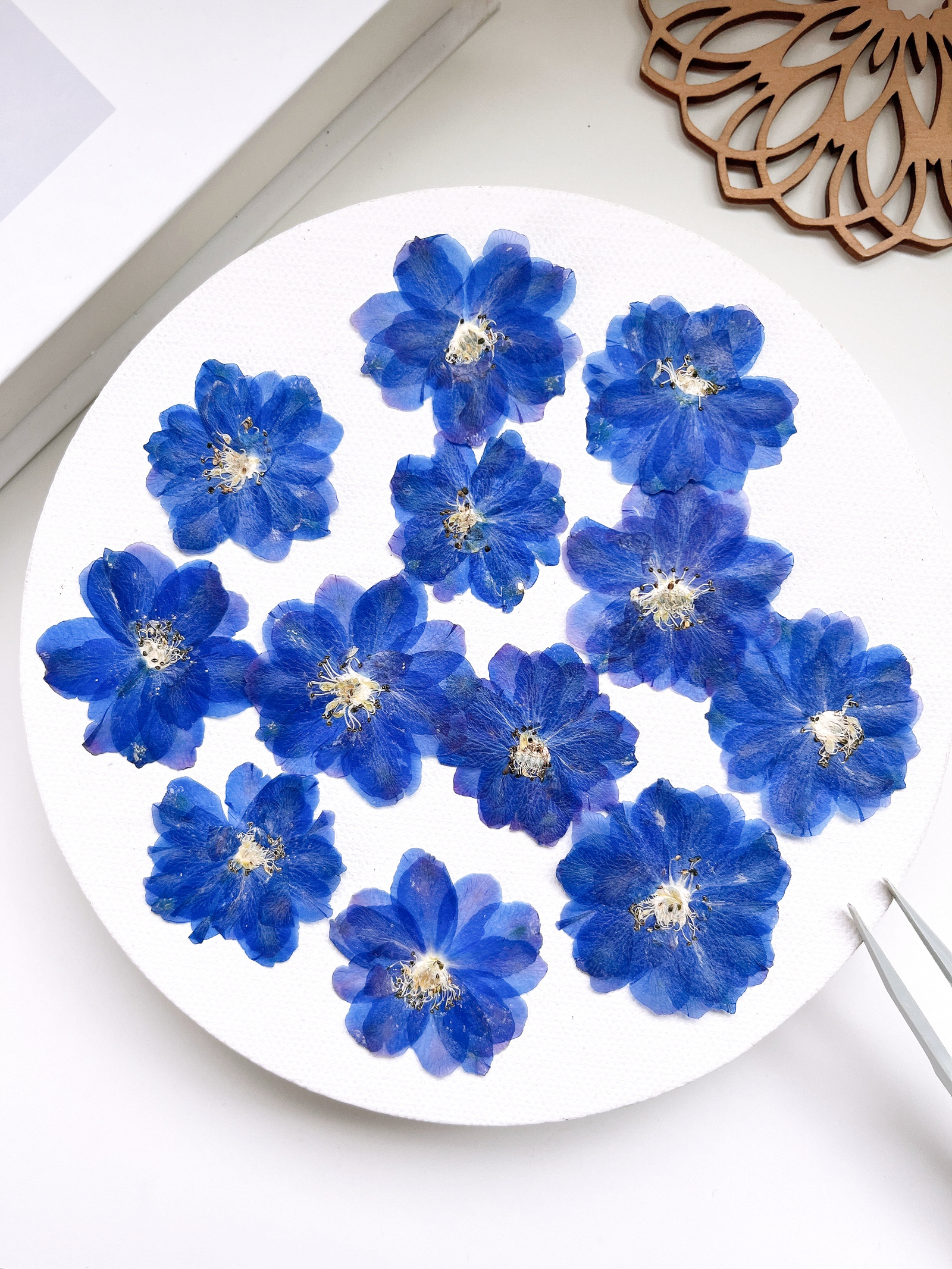 ドライフラワー】八重咲きコデマリ 淡色ミックス 着色 - m flowers