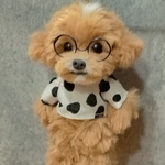 T様専用ページ