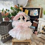 ぬい服 10cm ステラ ドレス 38cm ラブブ 服 LABUBU いつぬい服 Sサイズ 13インチ ステラルー リーナベル服 30cm レナ・ベア ピンクと白のレースリボンケーキプリンセスドレス