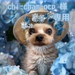 chi-cham-ocp様専用ページ♡