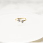 Double Zirconia Free Ring