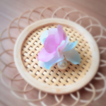 コットンパールと花びら