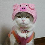 🐷ブタ子