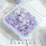 スターチス✢マーメイドピンク