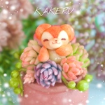 〈🌵ひょっこり多肉クマさん🧸〉