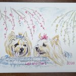 【kuu080420様オーダー品】愛犬イラスト