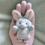 ★誕生記念★送料込み720円おちびちゃん