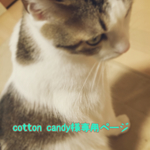 cotton candy様専用ページ