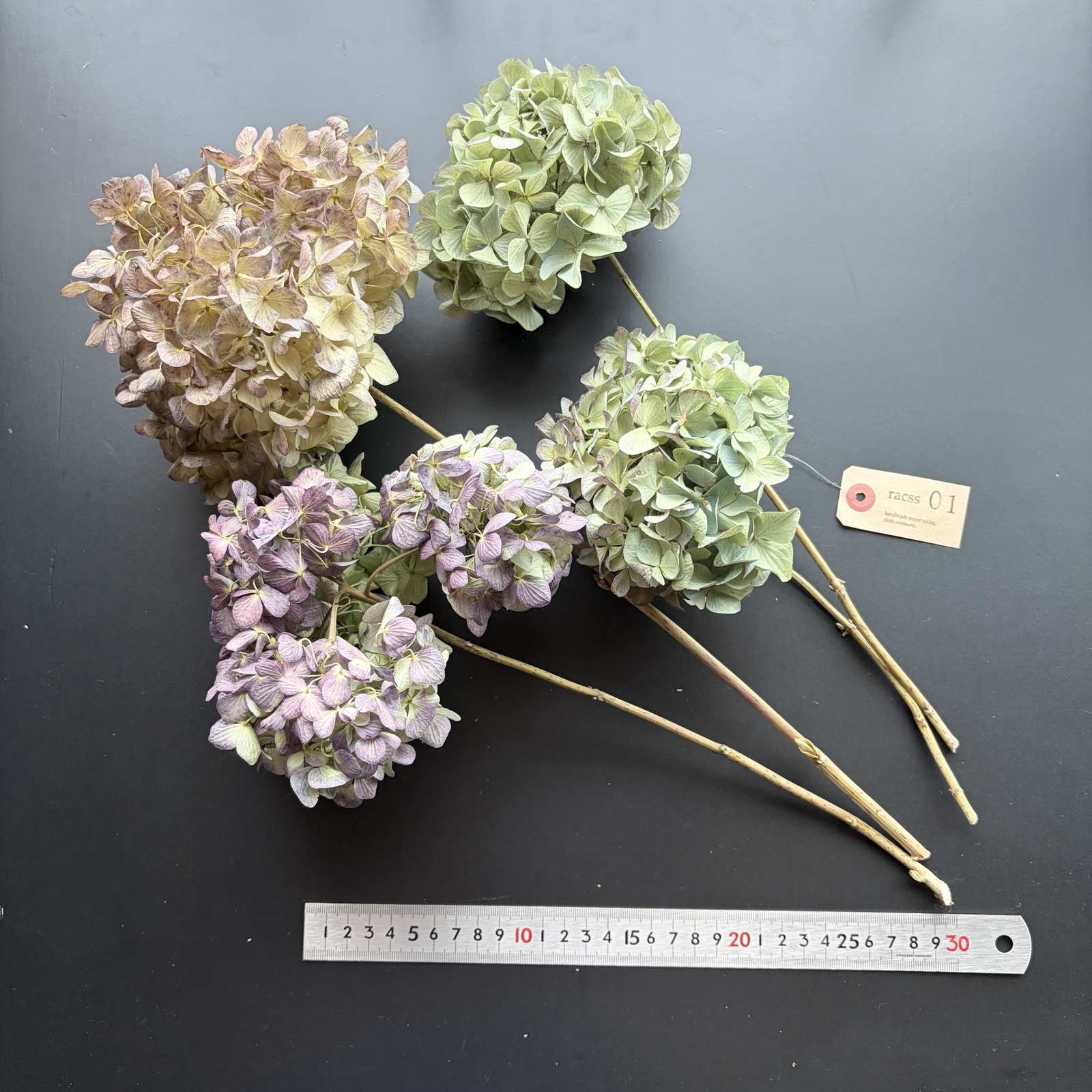 7月限定！紫陽花ドライフラワーセット【01】カラフル秋色ステム付き