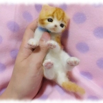 やさしいコネコsp15