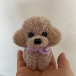 送料込み毛糸ぽんぽんトイプードルベージュピンクベージュラベンダー愛犬下耳