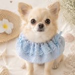 Sky Bib / 犬　猫　スタイ　ビブ　ケープ　フリルSpring / Summer Collection