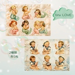 7月新作　tiny LOVE 