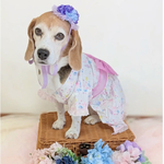 犬 濃い パープル × ブルー マム 花冠 ♡ 猫 ペット 帽子 ヘッドドレス カチューシャ 花 冠 かぶりもの 被り物 レース フリル 誕生日 うちの子記念日  バースデー リボン