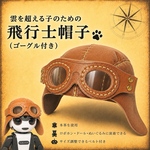 お試し＊飛行士帽子・ゴーグル付き 【おまかせカラー】