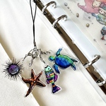 海のいきもの①アクリルキーホルダー