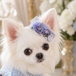 ブルーブーケ 頭飾り 犬服 ヘッドドレス 花飾り 被り物 ハンドメイド お出かけ 記念日